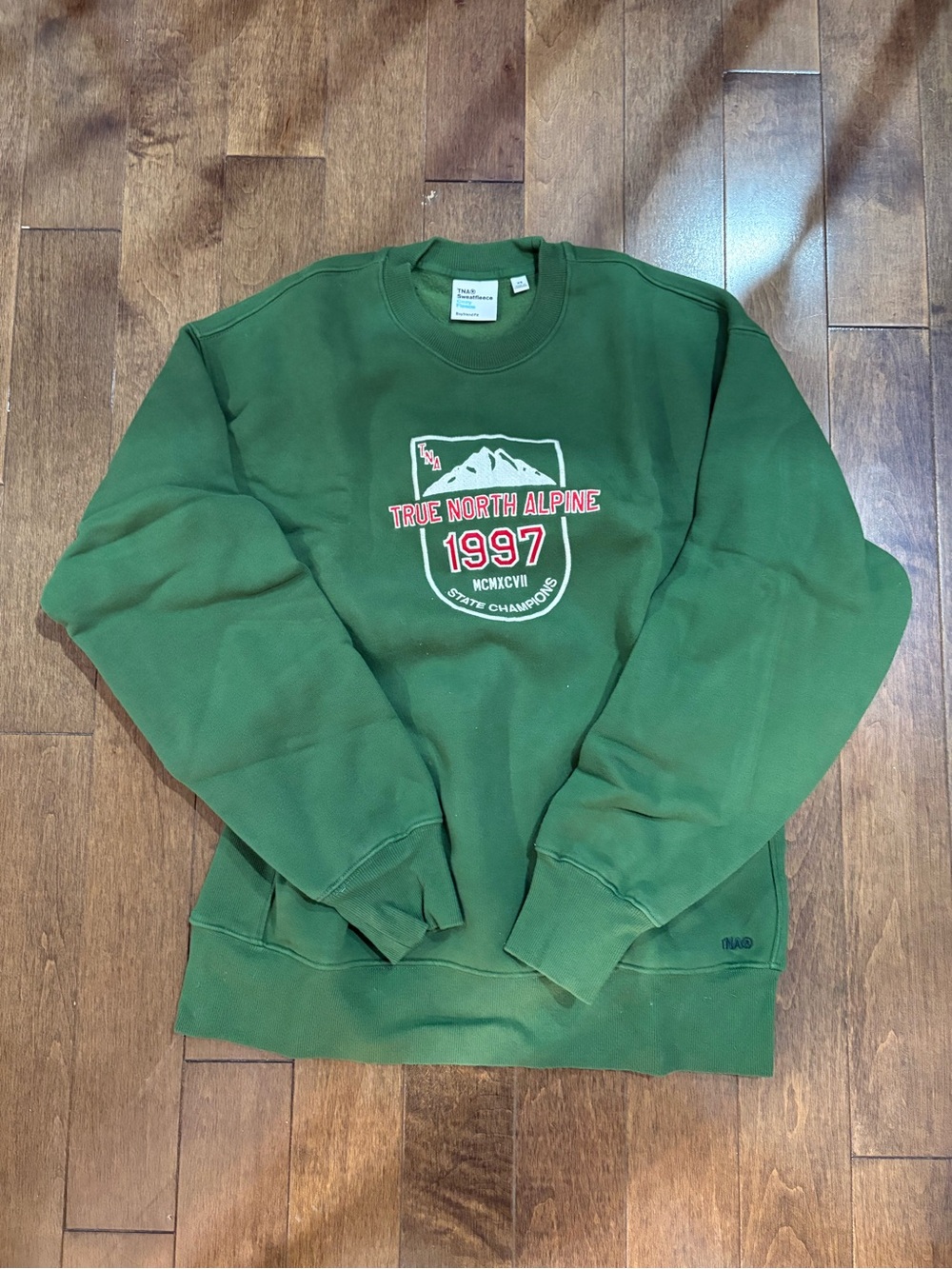 Aritzia Forest Green Crewneck Sweatshirt with 1997 Alpine Graphic